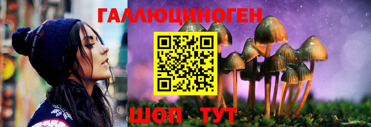 Псилоцибиновые грибы Psilocybe Унеча